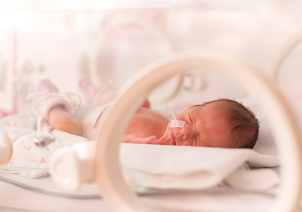 A premature baby is sleeping in the NICU